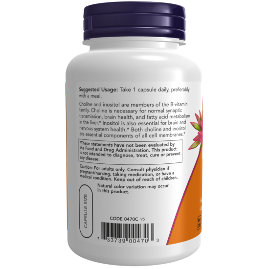 Choline & Inositol 500 mg (100 veg capsules)