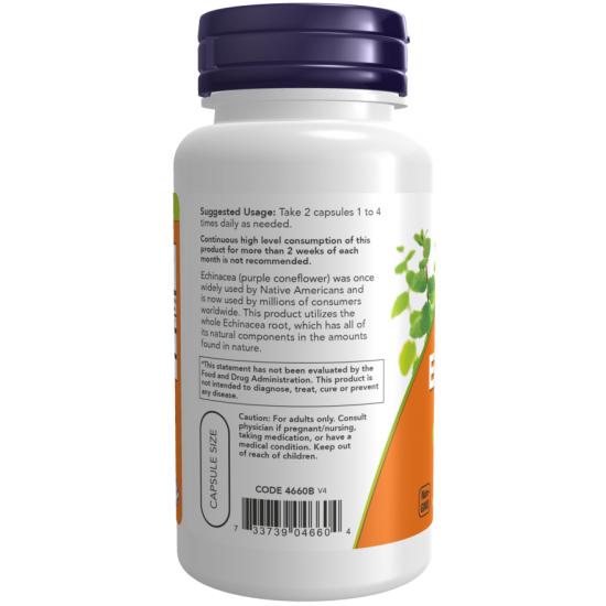 Echinacea 400 mg (100 capsules)